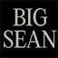 Big Sean Official Store logo